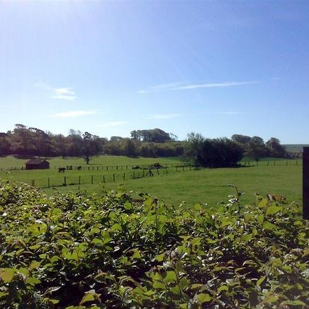 Warmwell Lodge Dorchester Bagian luar foto